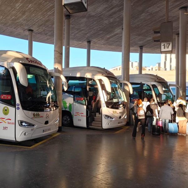 Buses Disponibles Verano 2024